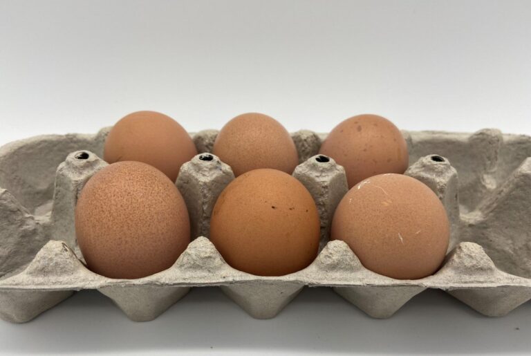 Brown-Egger™-1-scaled-1