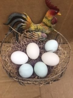 bantam_eggs_3-rotated-e1592857941330