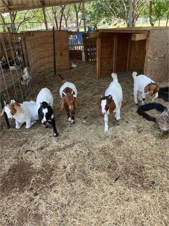 fffffffffffffffffffffffff