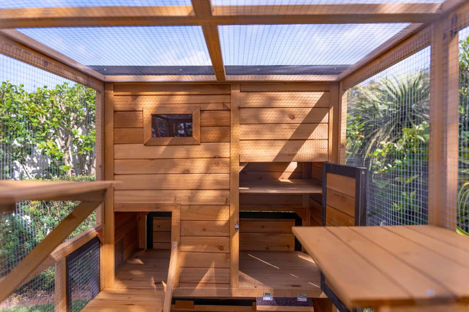 Heidi Cat House - Image 4