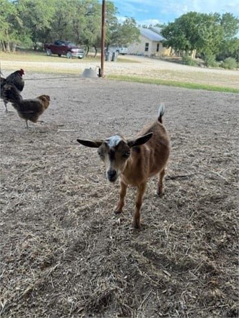 hhhhhhhhhhhhhhhhhhhhg