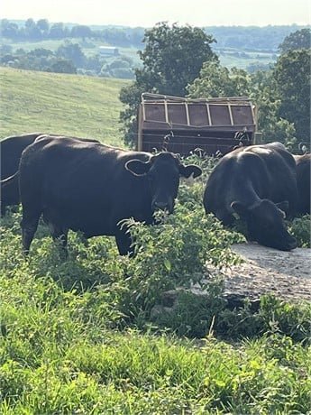 jjjjjjjjjjjjjjjjjjjm-1