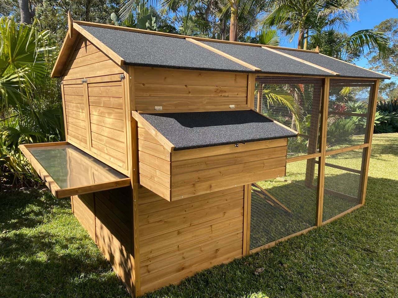Homestead Cat Enclosure